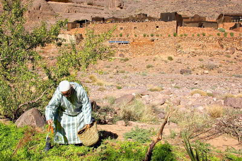Ecolodge Ouednoujoum Ouarzazate Buitenkant foto